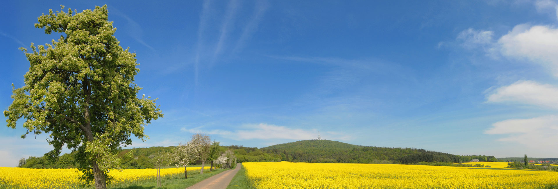 Coaching, Natur, Ruhe